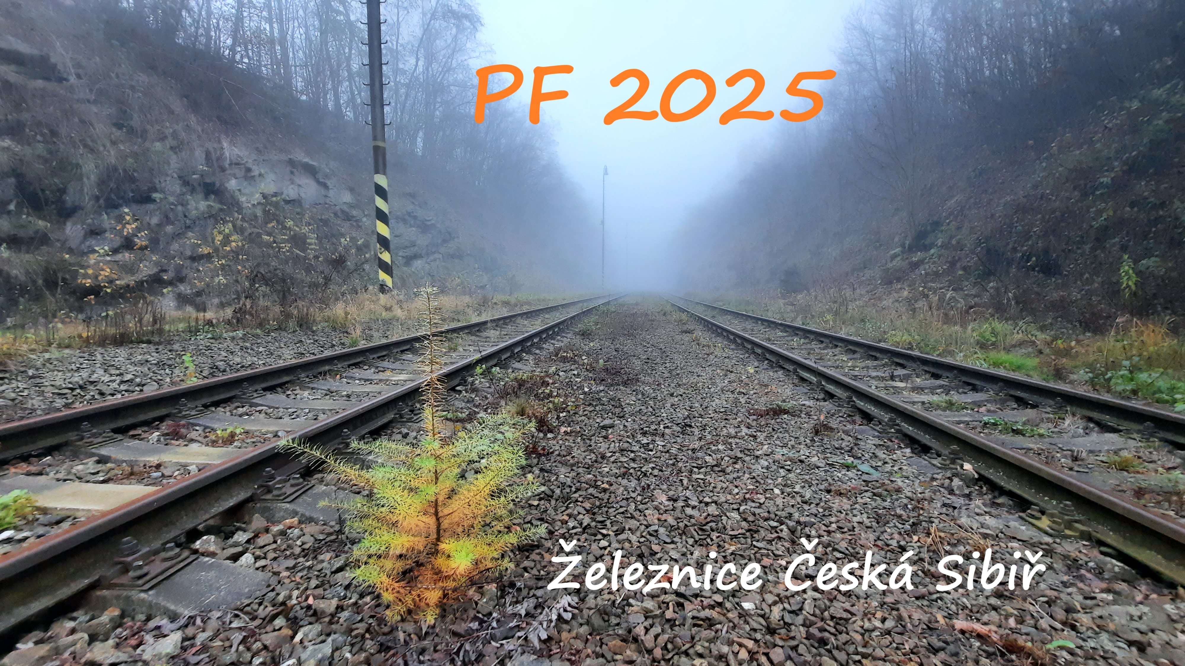 PF 2025 zeces